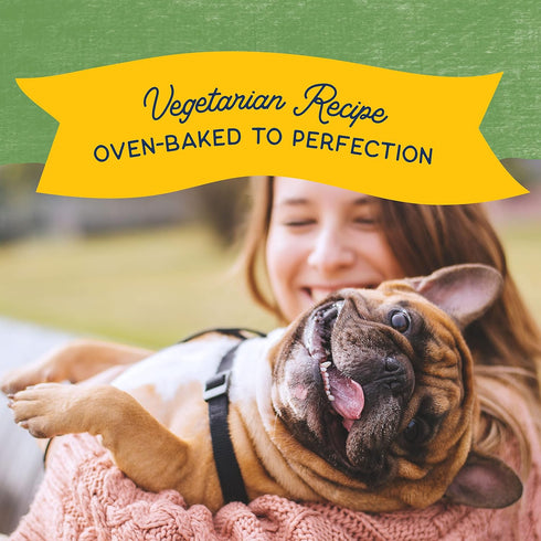 Natural Balance Limited Ingredient Rewards Crunchy Biscuits, Vegetarian Dog Treats for Adult Dogs of All Breeds, Peanut Butter Recipe, 14 Ounce (P...