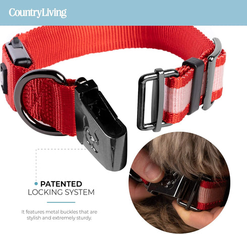 Silver Paw Light Up Dog Collars, LED USB Rechargeable Dog Collar, Waterproof & Durable (Red,S)...