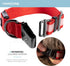 Silver Paw Light Up Dog Collars, LED USB Rechargeable Dog Collar, Waterproof & Durable (Red,S)...