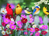 SUNSOUT INC - Songbirds and Cosmos - 500 pc Jigsaw Puzzle by Artist: William Vanderdasson - Finished Size 18" x 24" - MPN# 30448...