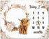 Boho Floral Baby Monthly Milestone Blanket Neutral Bohemian Photo Prop Blanket Personalized Highland Cow Baby Present Pampas Grass Ideas for Baby ...