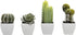 MyGift Set of 4 Assorted Miniature Artificial Succulent & Cactus Plants in White Cube-Shaped Pots...