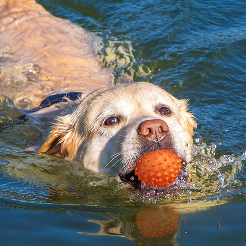 Apasiri Dog Balls for Aggressive Chewers, Dog Toys for Aggressive Chewers, Squeaky Balls for Dogs, Dog Balls, Dog Toys for Aggressive Chewers Larg...