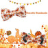 Dog Collar - Thanksgiving Turkey Dog Collar Gift Soft Bow Collar Adjustable Metal Buckle Dog Collar for Medium Dogs...