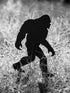 CINPIUK Bigfoot Garden Stake, Metal Sasquatch Yard Sign Christmas Outdoor Decoration Black Bigfoot Sculpture for Lawn Patio Decor...
