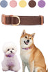 Adjustable No Pull Dog Collars for Medium Dogs Female Cute Brown Dog Collars for Medium Dogs Strong Medium Dog Collar Training Collar for Dogs Pup...