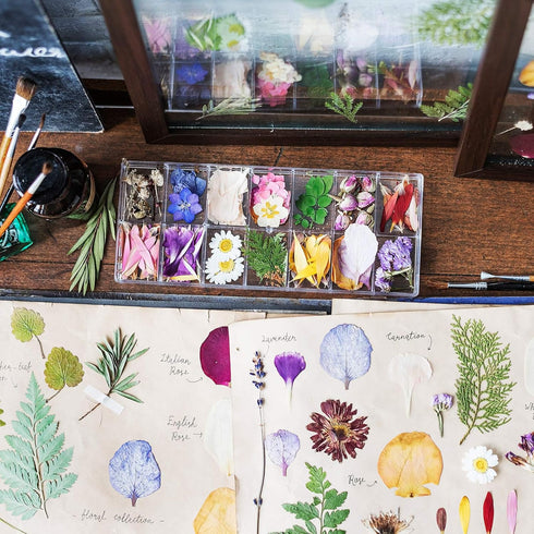 Nuanchu 223 Pcs Real Dried Pressed Flowers for Crafts Natural Dried Leaves and Butterfly Stickers Set Colorful Daisy Flowers and Adhesive Butterfl...