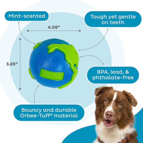 Outward Hound by Planet Dog Orbee-Tuff Planet Ball Blue/Green Treat-Dispensing Dog Toy, Large...