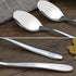12-Piece Stainless Steel Dessert Spoons, Small Spoon...