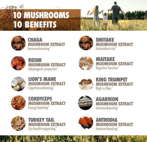 DR. EMIL NUTRITION 10 Mushroom Supplement for Mental Clarity, Focus & Immune Support - Functional Mushroom Nootropic Supplement with Lions Mane Ex...