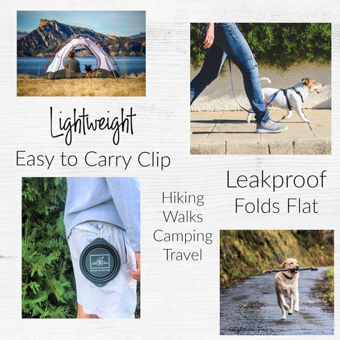Lucky Love Dog Travel Dog Bowl, Collapsible Compact Water Dog Dish, Rose...