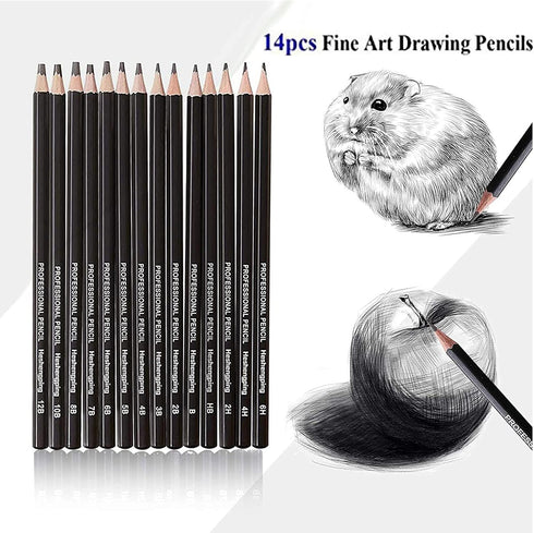 Heshengping Drawing Sketch Pencil Set 14pcs Sketching Pencils 12B 10B 8B 7B 6B 5B 4B 3B 2B B HB 2H 4H 6H Graphite Pencils for Kid Adults Artists S...