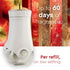 Glade PlugIns Refills Air Freshener, Scented and Essential Oils for Home and Bathroom, Apple Cinnamon, 2.01 Fl Oz, 3 Count...