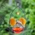 FORUP Oriole Bird Feeder, Orange Fruit Oriole feeder...
