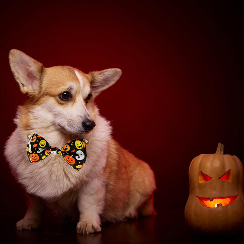 Halloween Dog Collar with Bow tie, Ghost and Pumpkin Holiday Pet Collar for Small Medium Large Dog Puppies...