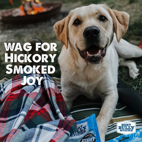 Premium Hickory Smoked Real Beef Dog Treats - Bully Snap Stick, 12 pack - Reward, Puppy & Dog Training Treats - USA Smoked & Packed - No Additives...