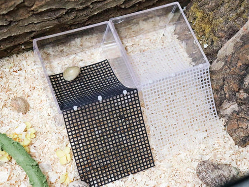 Hermit Crab Water Tank with Climbing Ramp, Hermit Crab Climbing Toy, Hermit Crab Habitat, Hermit Crab Pool Supplies, Aquarium Tank Cage Accessorie...
