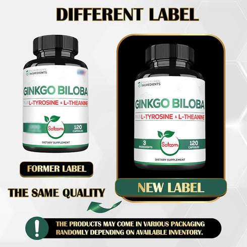 1000mg Ginkgo Biloba Supplements with L-Tyrosine, L-Theanine - 120 Capsules for 2-Month Supply - Support Focus, Mermory Function, Brain Health & V...