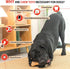 Dog Chew Toys Pine Wood and Nylon Tough Dog Toys for Aggressive Chewers Real Bacon Indestructible Dog Toys to Keep Them Busy...