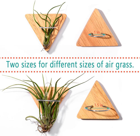 MITIME Air Plants Holders-Real Wood Live Air Plant Holders.Rustic Air Plant Stand,Wall-mounted to save space.(Plants not included)( Triangle Set o...