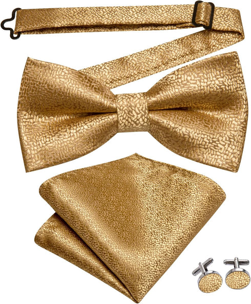 Dubulle Bowtie for Men Paisley Floral Mens Pretied Bowtie and Lapel Pin Set Pocket Square Cufflinks Wedding...