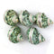 5PC Green Turbo Banded Shells,Hermit Crab Shell &Turbo Shells Hermit Crab Supplies for Decor Apprx 2.25" Inch...