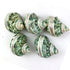 5PC Green Turbo Banded Shells,Hermit Crab Shell &Turbo Shells Hermit Crab Supplies for Decor Apprx 2.25" Inch...