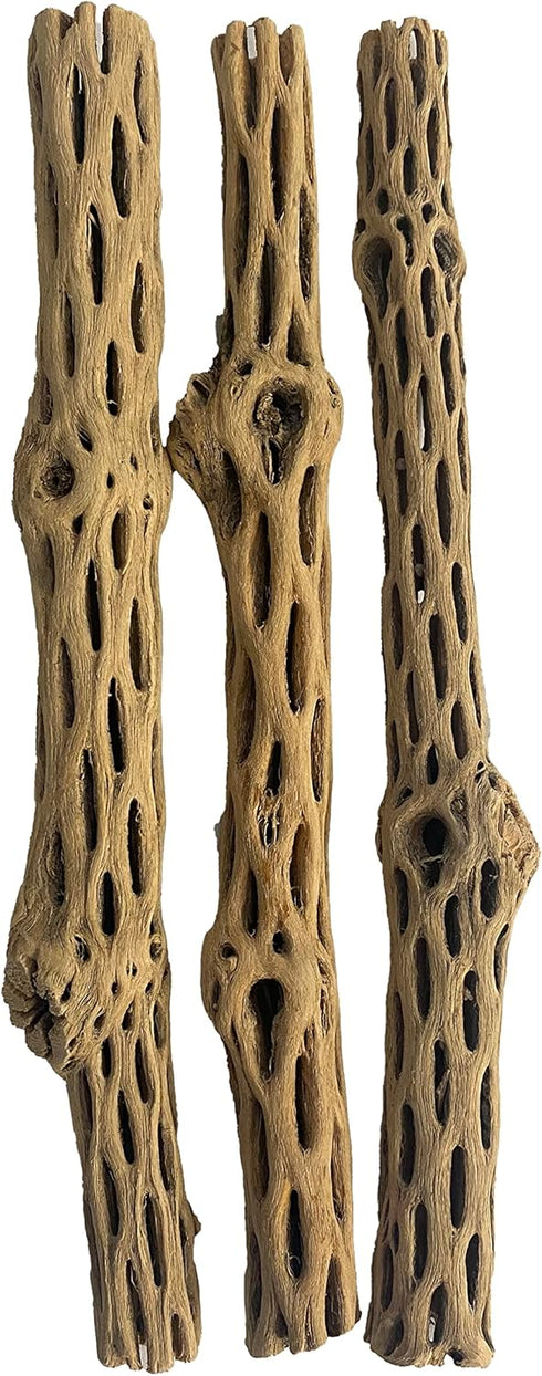 Awesome Aquatic Natural Cholla/Choya Wood 3 Pieces 12” for Shrimp Habitat and Food Treat Hermit Crabs Plecos Aquarium Decoration Lowers pH Hideout...