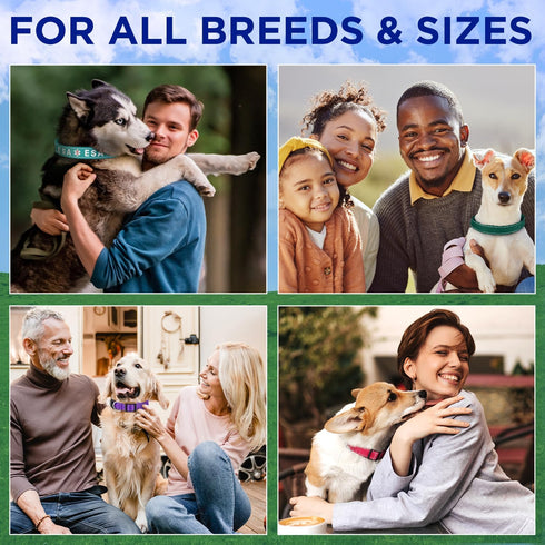 TECEUM Reflective Pet Collar – Hot Pink – L – Basic Nylon Dog Collar – Quick Release Buckle – Fits Small, Medium and Large Dogs, Puppies, Cats – E...