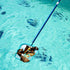 Pool Skimmer - Pool Skimmer Net without Pole, 16.5" x 9.5", Pool Net with Fine Mesh Net, Plastic Frame, Ultra-fine Pool Skimmer for Ponds, Fish Ta...