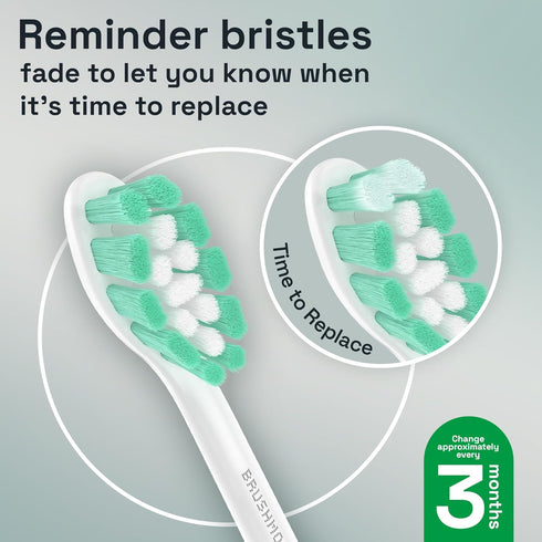 Brushmo Plaque Control Replacement Toothbrush Heads, Compatible with Philips Sonicare Click-on Electric Toothbrush Handles, 8 Standard Replacement...