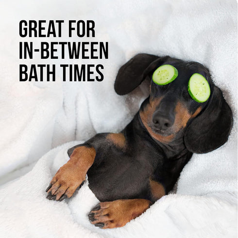 Natural Rapport Dog Cologne Spray Cranberry & Vanilla Scent - The Only Between Bath Spray Dogs Need - Convenient, Dog Deodorant Spray and Pet Urin...