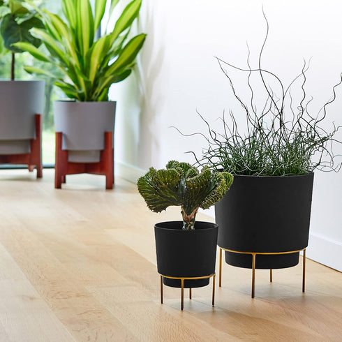 Bloem Hopson Round Planter with Gold Metal Stand: 6" - Black - Durable Plastic Pot, Powder Coated Removable Stand, for Indoor and Outdoor Use, Gar...