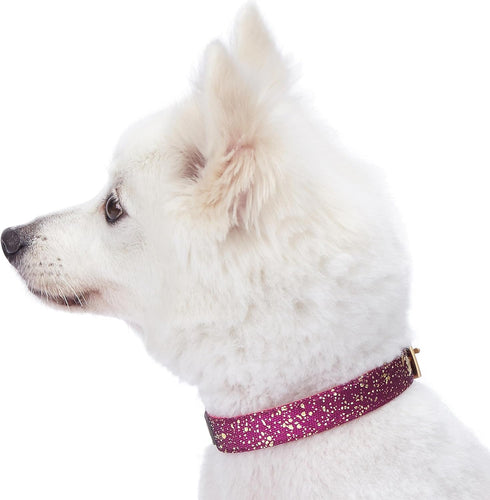 Blueberry Pet 4 Colors Glam Life Gold Stamping Lace Adjustable Dog Collar in Cerise Pink, Neck 7.5-10", for Small Breed...
