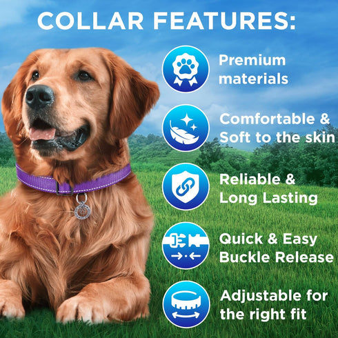TECEUM Reflective Pet Collar – Purple – L – Extra Soft Padding – Basic Nylon Dog Collar – Quick Release Buckle – Fits Small, Medium and Large Dogs...