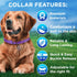 TECEUM Reflective Pet Collar – Purple – L – Extra Soft Padding – Basic Nylon Dog Collar – Quick Release Buckle – Fits Small, Medium and Large Dogs...