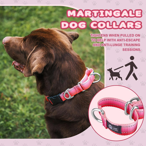 Martingale Dog Collar Pink Light-Reflective Polyester Collars for Dogs Whippets, Greyhounds, Saluki, American Bully, No-Pull No-Escape Safety Trai...