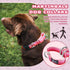 Martingale Dog Collar Pink Light-Reflective Polyester Collars for Dogs Whippets, Greyhounds, Saluki, American Bully, No-Pull No-Escape Safety Trai...