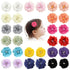 30pcs Baby Girls Alligator Hair Clips Chiffon Flower Hair Barrettes Accessories for Kids Toddler Teens (01)...