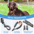 BAAPET 2/4/5/6 FT Dog Leash with Comfortable Padded Handle and Highly Reflective Threads for Small Medium and Large Dogs (2FT-1/2'', Black)...