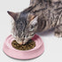 CatGuru Cat Bowls, Whisker Stress Free Cat Food Bowl, Reliefs Whisker Fatigue, Wide Cat Bowl, Non Slip Cat Food Bowls, Shallow Cat Dish, Cat Feedi...