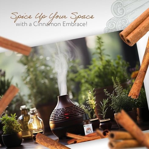 HBNO Organic Cinnamon Bark Essential Oil | 1 Oz (30 ml)...
