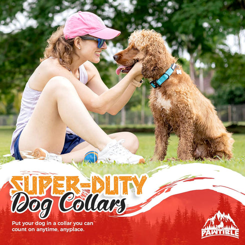 Heavy Duty Nylon Collar for Dogs – Small Dog Collar with Heavy Duty Buckle, Soft Pad, 2 D-Rings – Heavy Duty Dog Collars for Small Dogs with Stron...