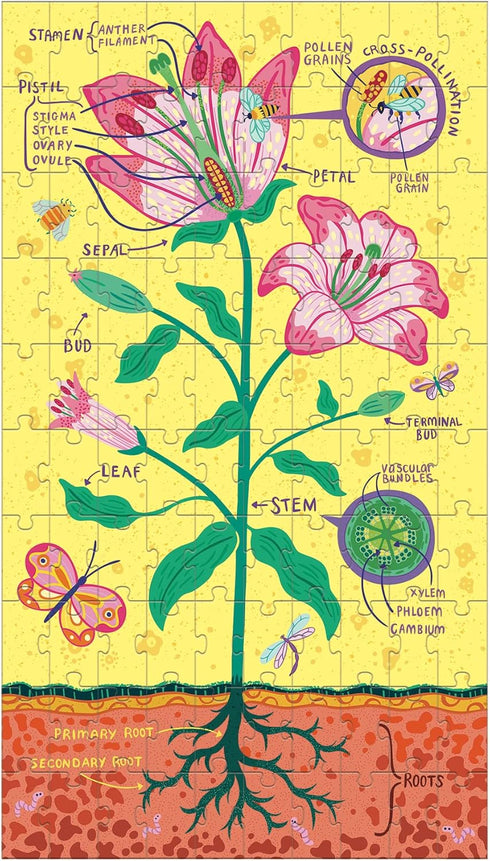 Plant Anatomy Science Puzzle Set from Mudpuppy - Includes Three 100 - Piece Puzzles with Colorful Illustrations, Ages 6+, Trifold Insert with Fun ...