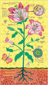 Plant Anatomy Science Puzzle Set from Mudpuppy - Includes Three 100 - Piece Puzzles with Colorful Illustrations, Ages 6+, Trifold Insert with Fun ...