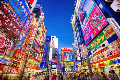 Evening in Akihabara, Japan Puzzle for Adults and Kids | Difficult 1000 Piece Jigsaw Puzzle Toy | Fun Quarantine Gift | Interactive Brain Teaser C...