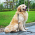 Leather Dog Leash 6ft*5/8"- Braided Dog Leash for Dogs, Heavy Duty Dog Leashes with Rotating Clasp, Soft Leather Dog Training Leash for Large, Med...