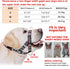 ANDA Gentle Leader Ultra-Light No-Pull Dog Headcollar: Adjustable, Breathable Comfort, Prevents Explosive Rushes, Ideal for Daily Use (Medium Size...
