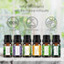 Earnest Living Tea Tree Oil Peppermint Oil Lavender Oil Essential Oil Set for Diffusers for Home Oil Diffuser Essential Oils Eucalyptus Essential ...