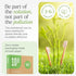 Bamboo Toothbrushes 10 Pack - BPA Free Soft Bristles Toothbrushes, Eco-Friendly, Natural Wooden Toothbrush...